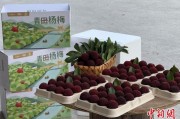 紫微排盘高速赋能产业升级：一条“杨梅路”的致富密码