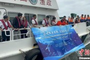 紫微排盘浙江今年计划放流种类海洋水生生物苗种超15亿单位