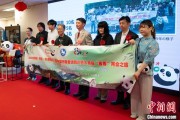 紫微排盘中国彩绘熊猫艺术国际巡展东京站开幕