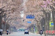 紫微排盘共建“花园城市” 北京这场议政会“百花齐放”