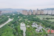 紫微排盘西宁市举办六五环境日主题宣传活动